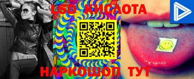 индика Аргун