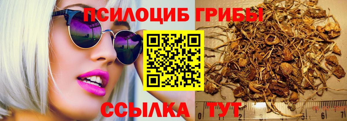 Псилоцибиновые грибы ЛСД  Вход с VPN  Анжеро-Судженск 
