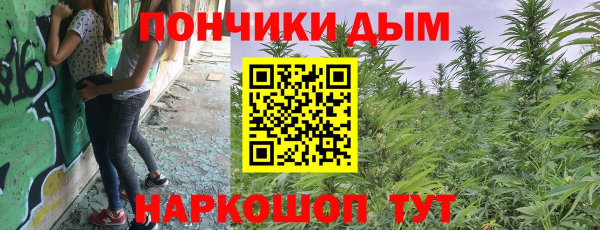 Шишки марихуана тримм  Вход с VPN  Анжеро-Судженск  Шишки марихуана Amnesia 